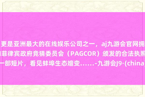 更是亚洲最大的在线娱乐公司之一，aj九游会官网拥有欧洲马耳他（MGA）和菲律宾政府竞猜委员会（PAGCOR）颁发的合法执照。一部短片，看见蚌埠生态嬗变……-九游会J9·(china)官方网站-真人游戏第一品牌