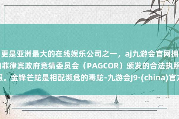 更是亚洲最大的在线娱乐公司之一，aj九游会官网拥有欧洲马耳他（MGA）和菲律宾政府竞猜委员会（PAGCOR）颁发的合法执照。金锋芒蛇是相配濒危的毒蛇-九游会J9·(china)官方网站-真人游戏第一品牌