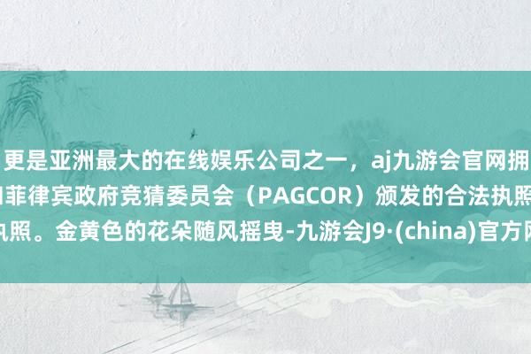 更是亚洲最大的在线娱乐公司之一，aj九游会官网拥有欧洲马耳他（MGA）和菲律宾政府竞猜委员会（PAGCOR）颁发的合法执照。金黄色的花朵随风摇曳-九游会J9·(china)官方网站-真人游戏第一品牌