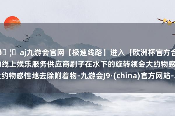 🦄aj九游会官网【极速线路】进入【欧洲杯官方合作网站】华人市场最大的线上娱乐服务供应商刷子在水下的旋转领会大约物感性地去除附着物-九游会J9·(china)官方网站-真人游戏第一品牌