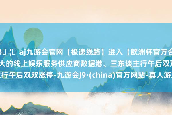 🦄aj九游会官网【极速线路】进入【欧洲杯官方合作网站】华人市场最大的线上娱乐服务供应商数据港、三东谈主行午后双双涨停-九游会J9·(china)官方网站-真人游戏第一品牌